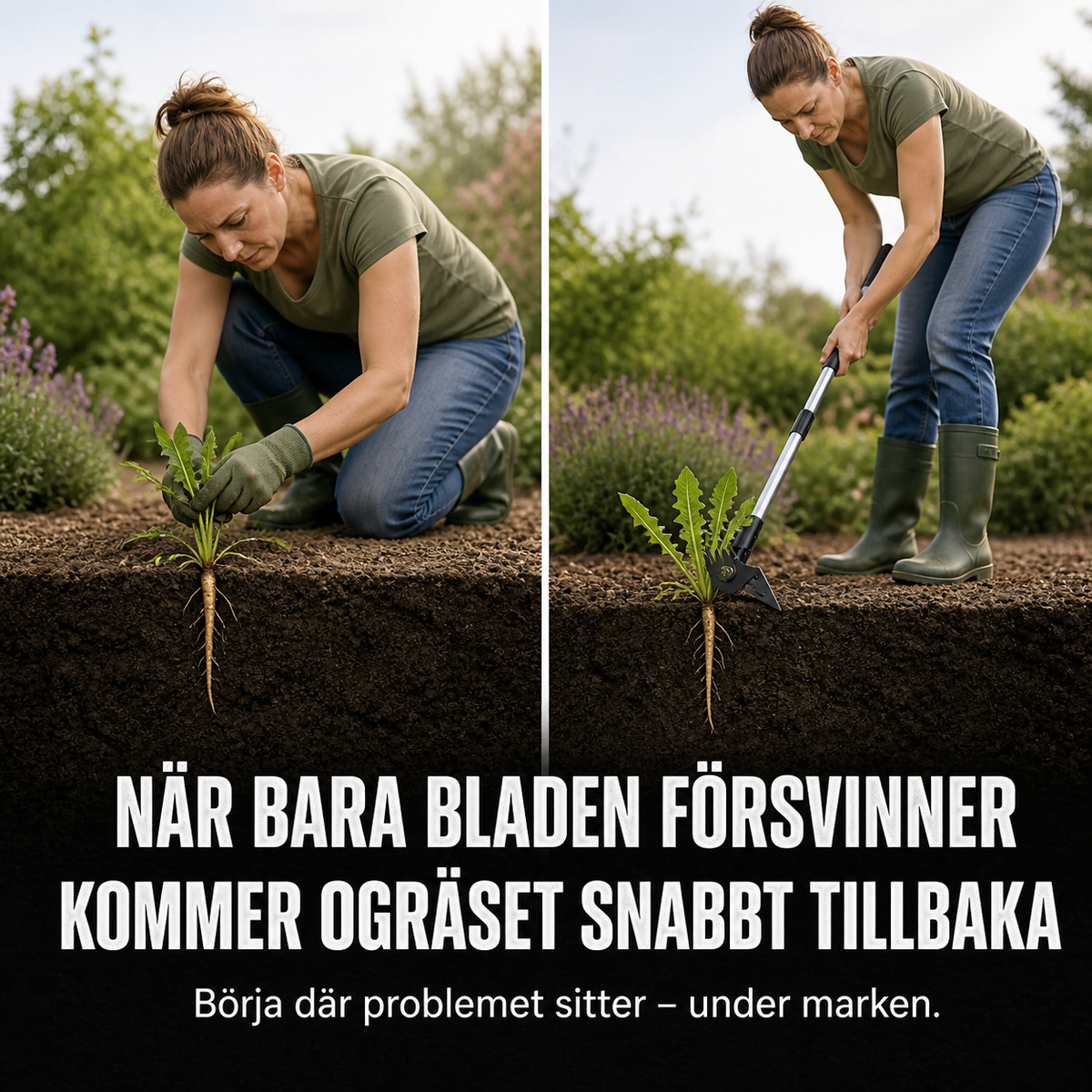 RotRens – justerbar ogräsrensare